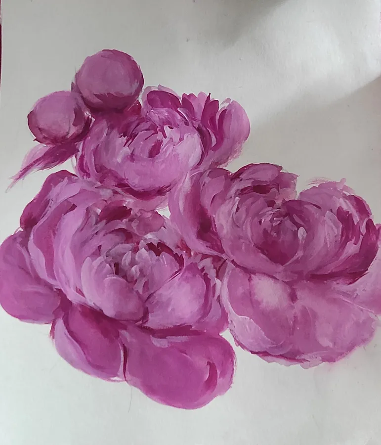 Image of Peonies bloom by Natalya Tomchuk , size: 29x26 cm, made of Папір,акварель, Painting medium, from Рівне, priced at $50