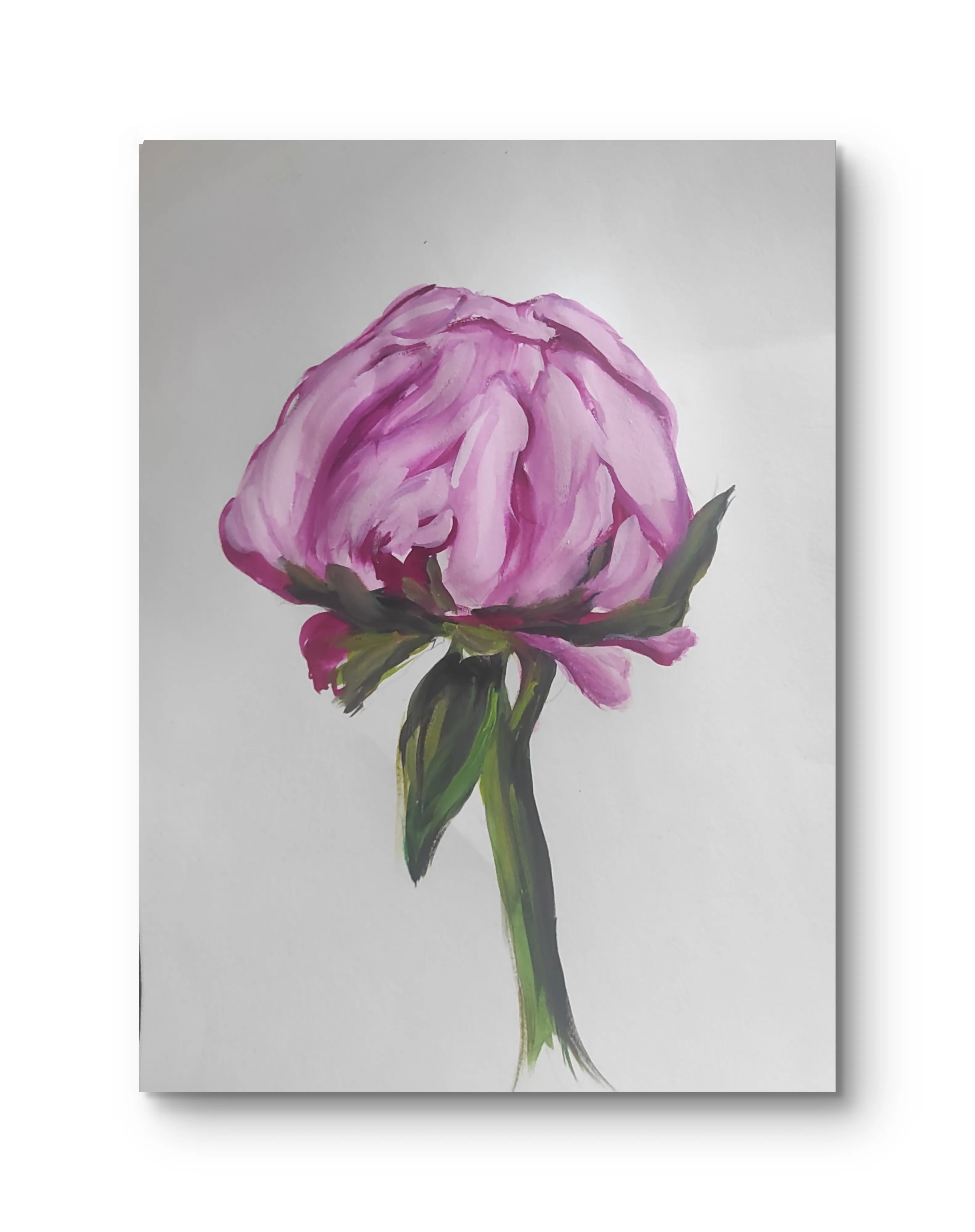 Image of Peonies  by Natalya Tomchuk , size: 40x30 см, made of Папір, акварель , priced at $50