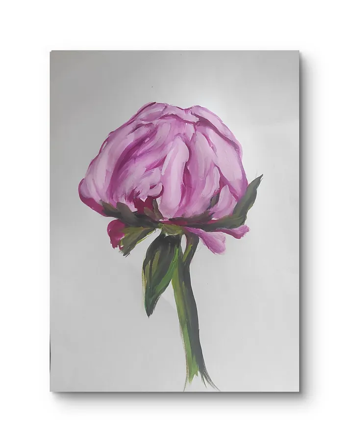 Image of Peonies  by Natalya Tomchuk , size: 40x30 см, made of Папір, акварель , priced at $50